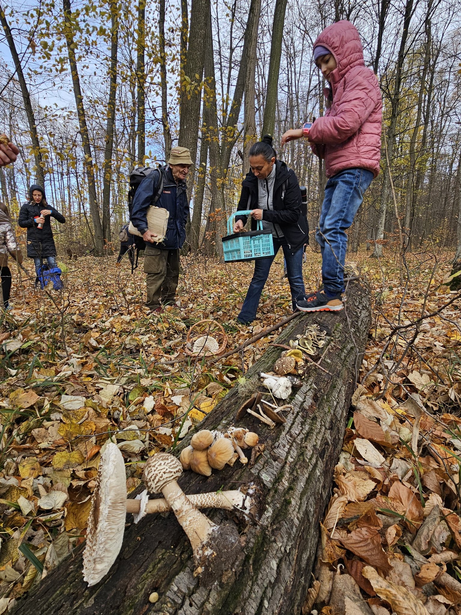 Activitate de teren – Monitorizarea diversității fungice în masivul păduros Bârnova-Repedea, Iași