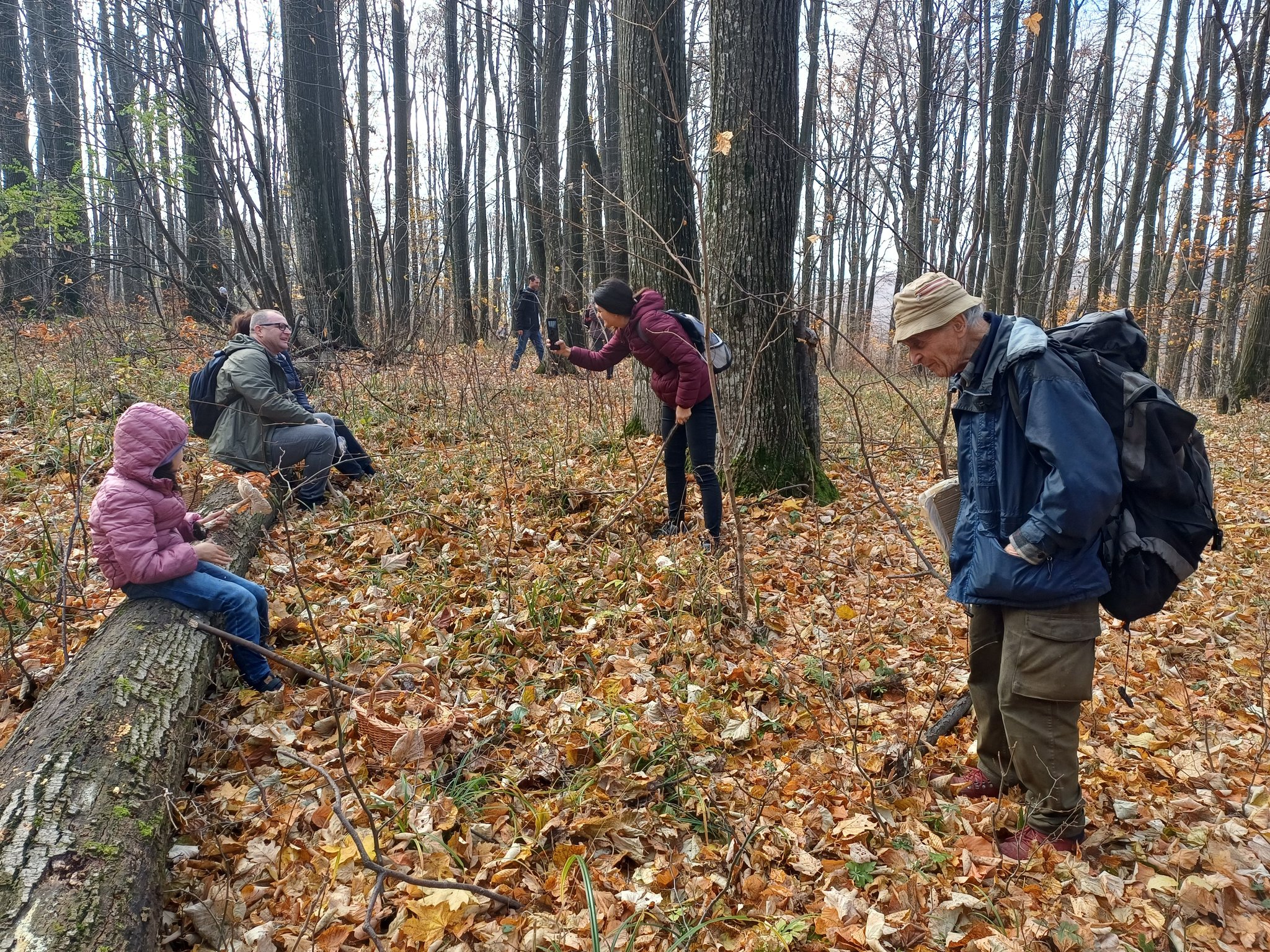 Activitate de teren – Monitorizarea diversității fungice în masivul păduros Bârnova-Repedea, Iași