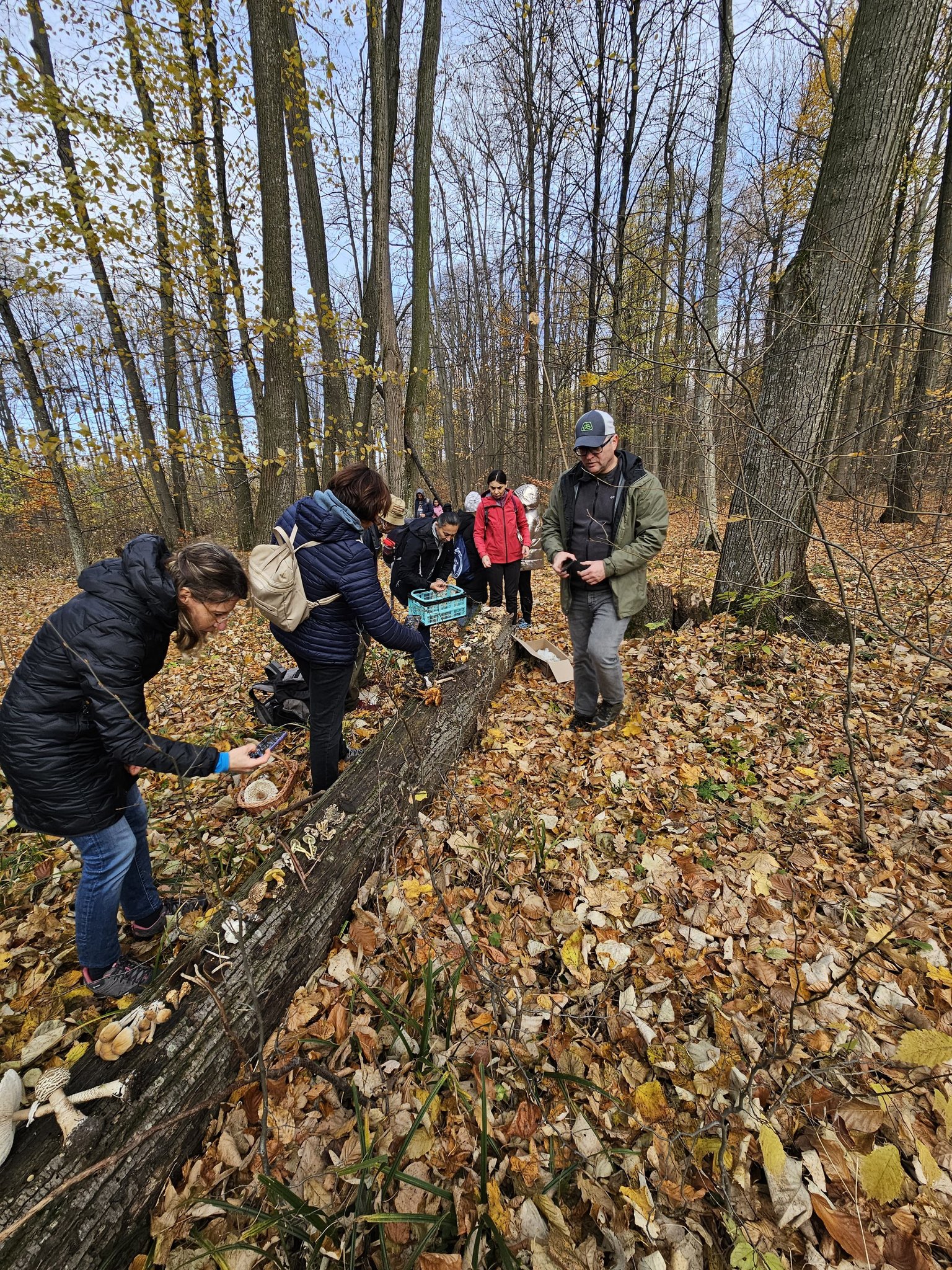 Activitate de teren – Monitorizarea diversității fungice în masivul păduros Bârnova-Repedea, Iași