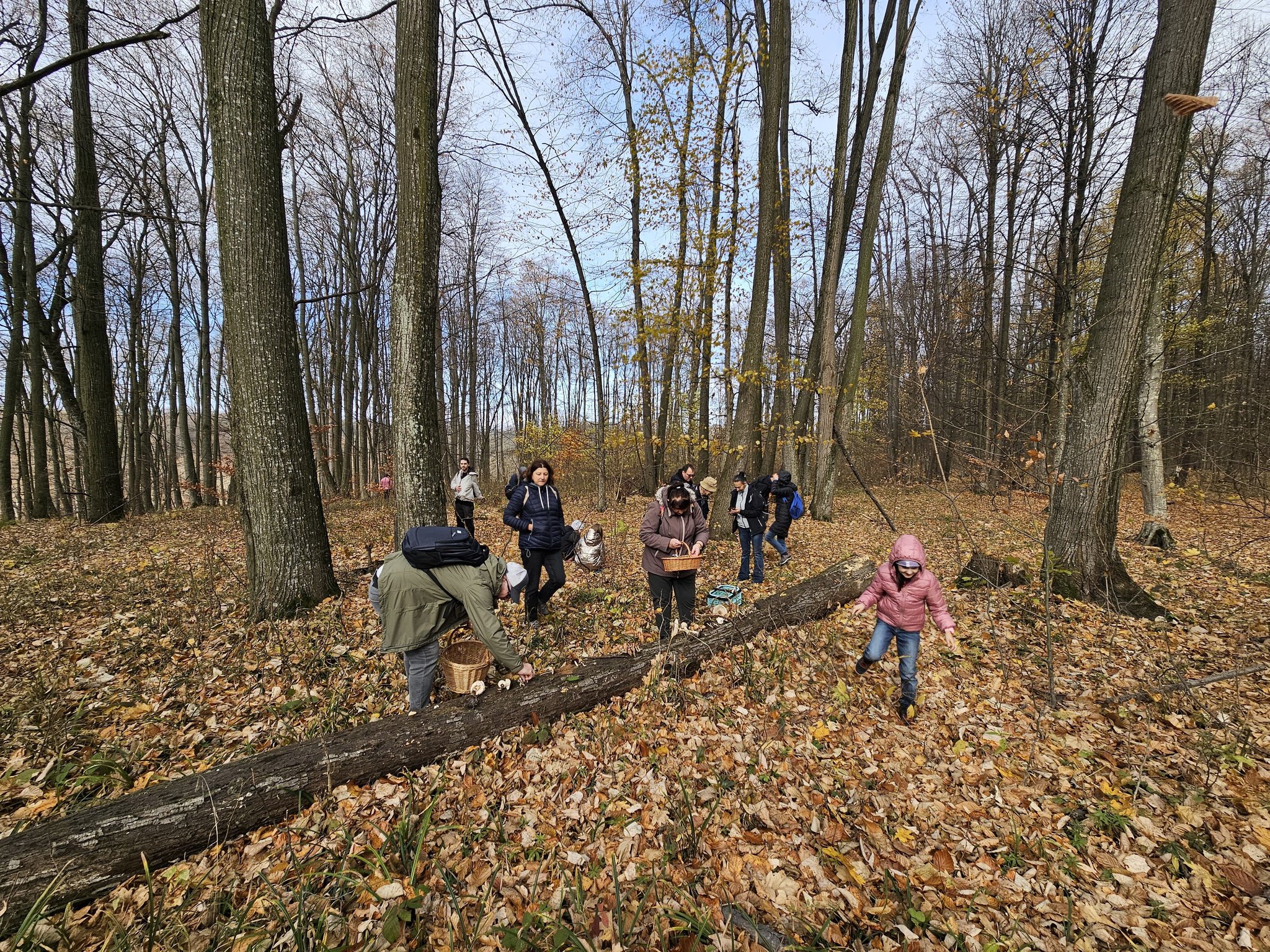 Activitate de teren – Monitorizarea diversității fungice în masivul păduros Bârnova-Repedea, Iași