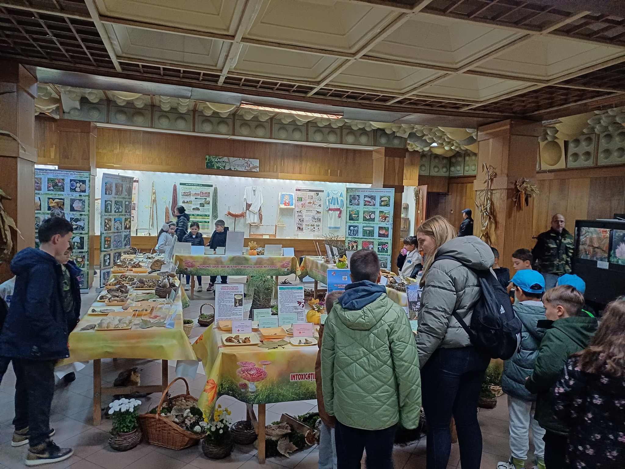 Expoziţia temporară de ciuperci proaspete „LUMEA CIUPERCILOR”, ediţia a XIX-a, Complexul Muzeal de Ştiinţele Naturii „Ion Borcea” Bacău