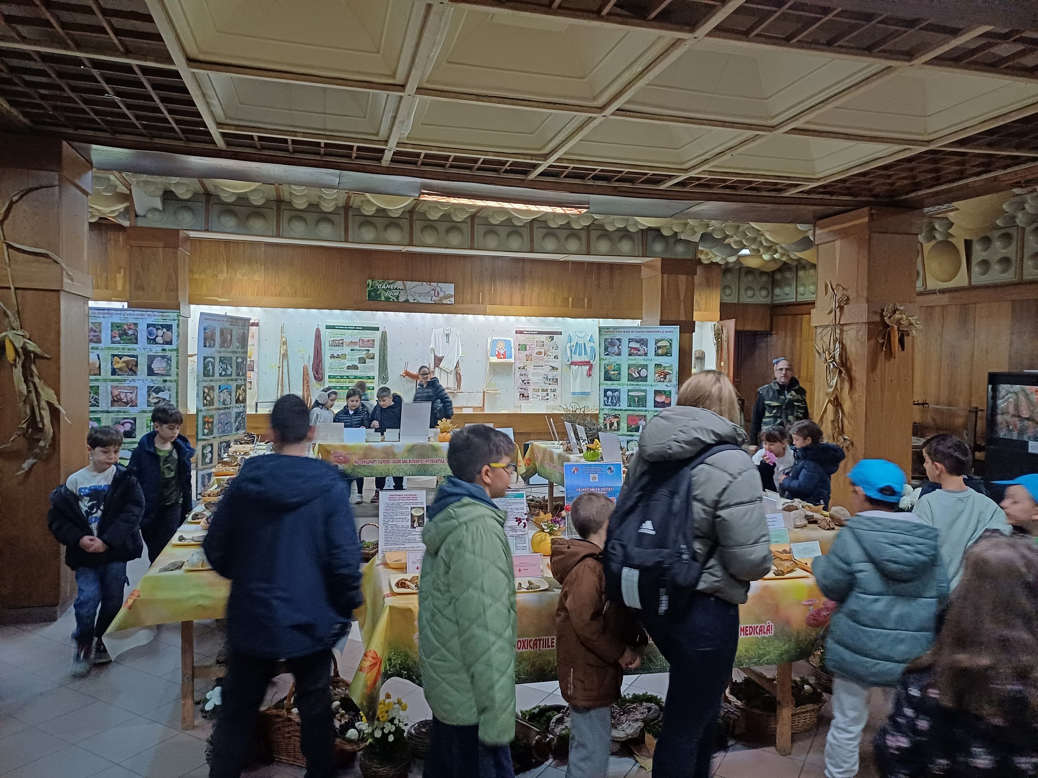 Expoziţia temporară de ciuperci proaspete „LUMEA CIUPERCILOR”, ediţia a XIX-a, Complexul Muzeal de Ştiinţele Naturii „Ion Borcea” Bacău