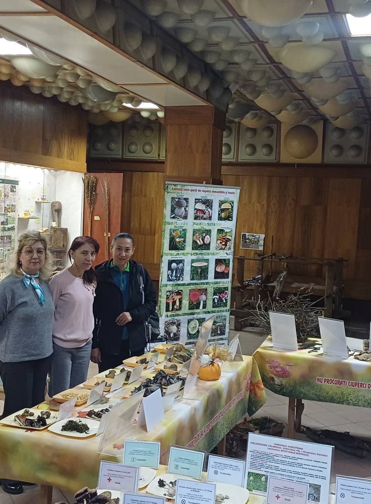 Expoziţia temporară de ciuperci proaspete „LUMEA CIUPERCILOR”, ediţia a XIX-a, Complexul Muzeal de Ştiinţele Naturii „Ion Borcea” Bacău