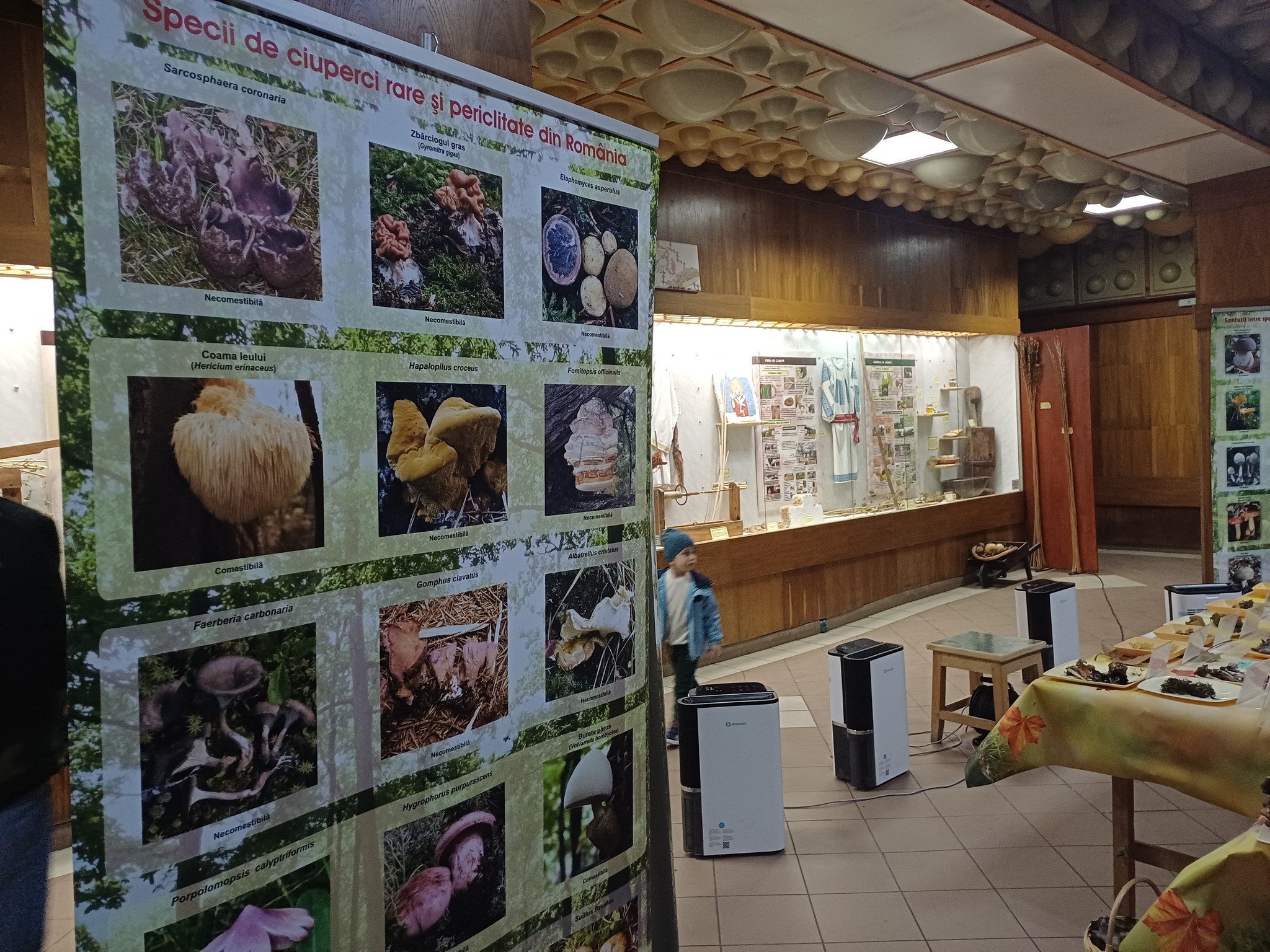 Expoziţia temporară de ciuperci proaspete „LUMEA CIUPERCILOR”, ediţia a XIX-a, Complexul Muzeal de Ştiinţele Naturii „Ion Borcea” Bacău