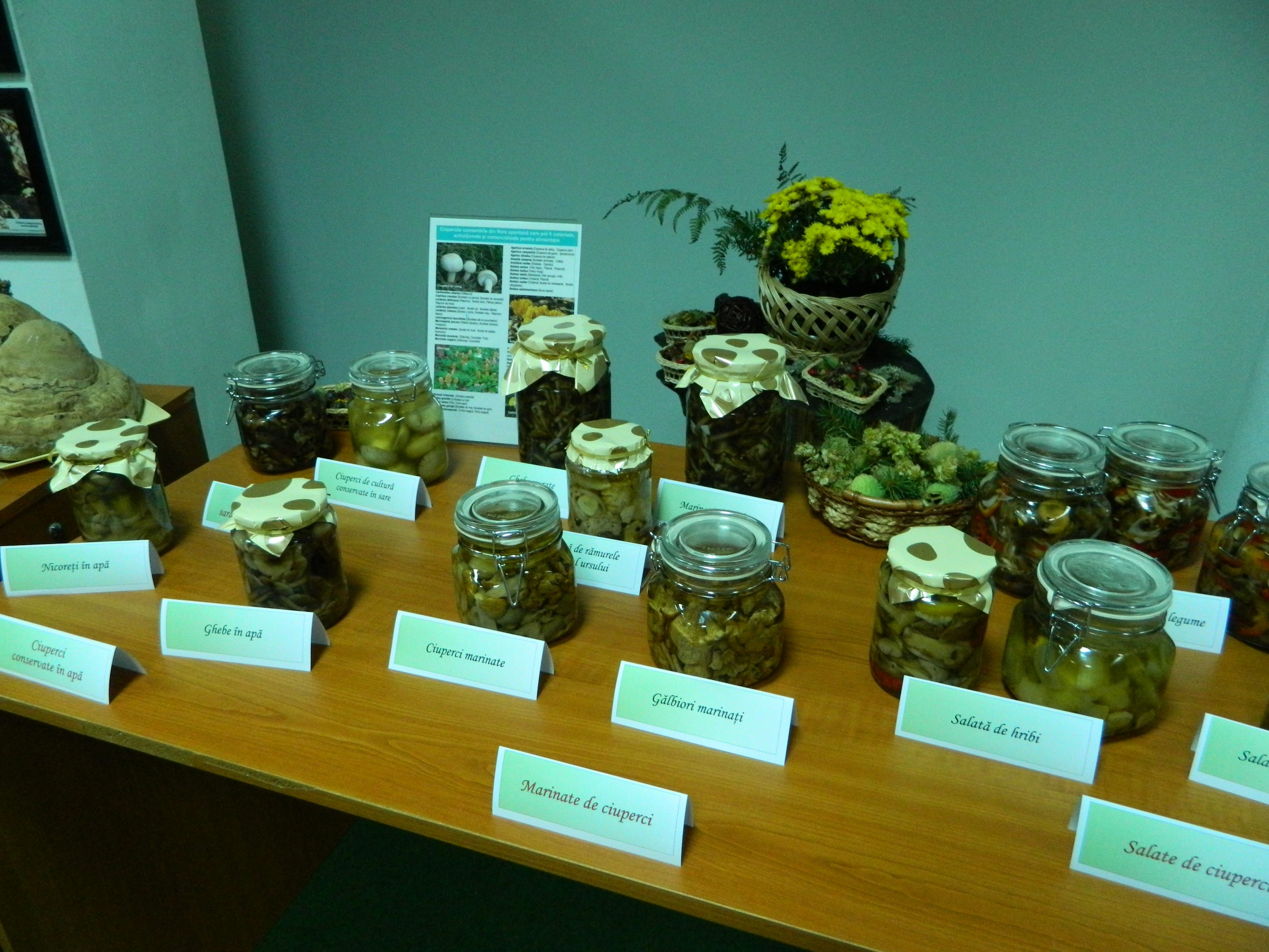 Simpozionul naţional de micologie, Ediţia a XXV-a, 16-17 octombrie 2014, Bacău