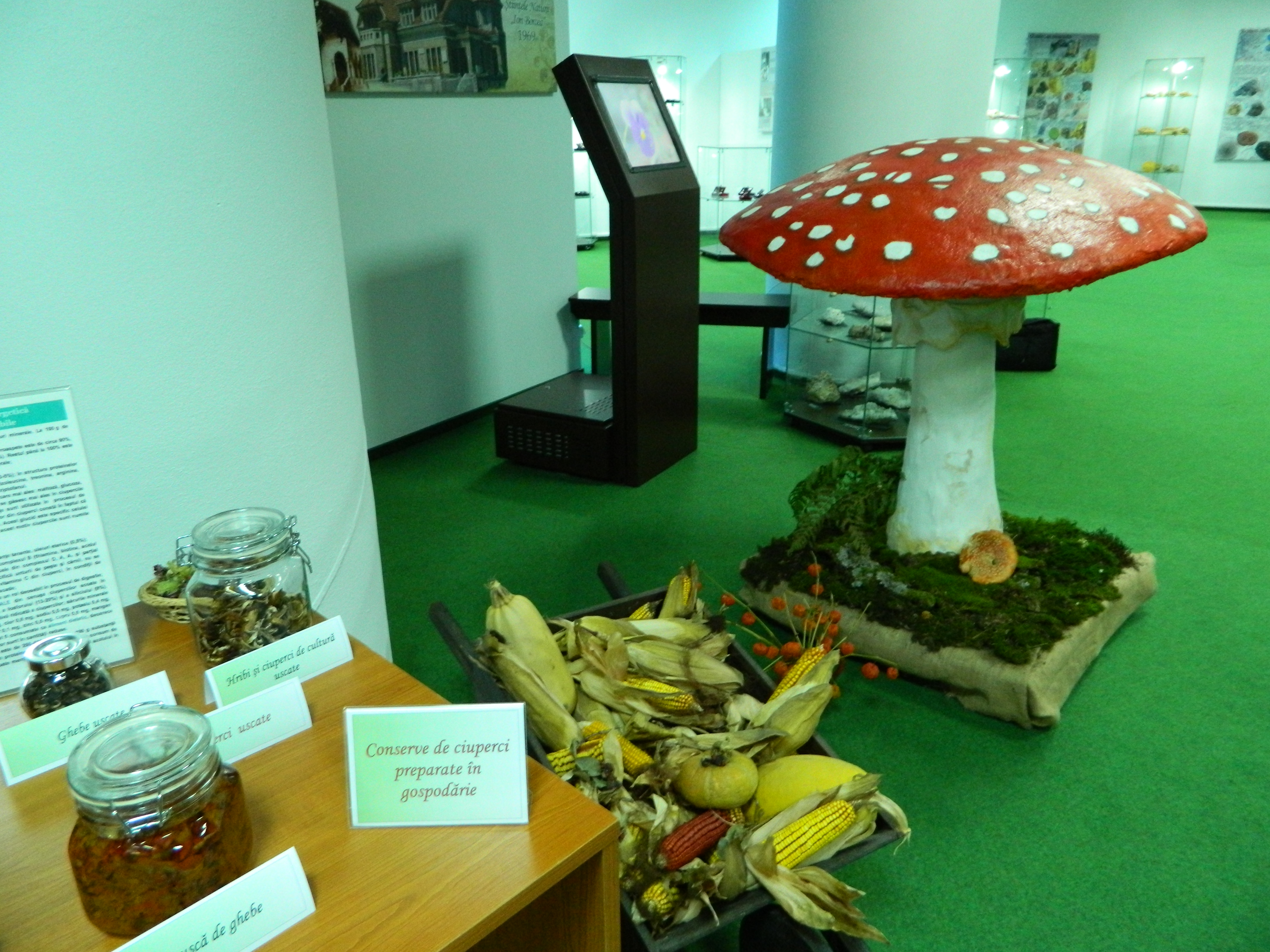 Simpozionul naţional de micologie, Ediţia a XXV-a, 16-17 octombrie 2014, Bacău