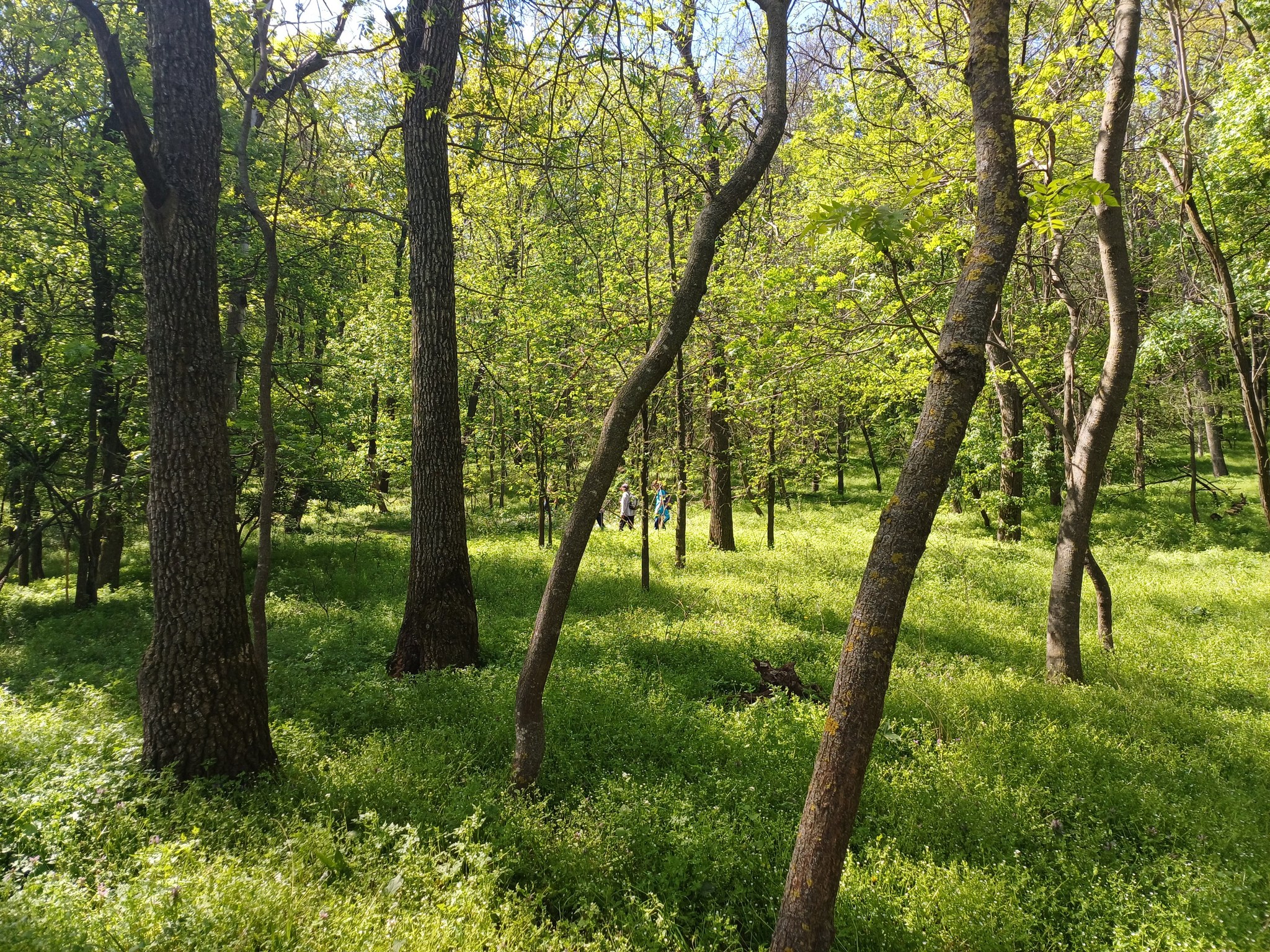 Să marcăm împreună Ziua Pământului!