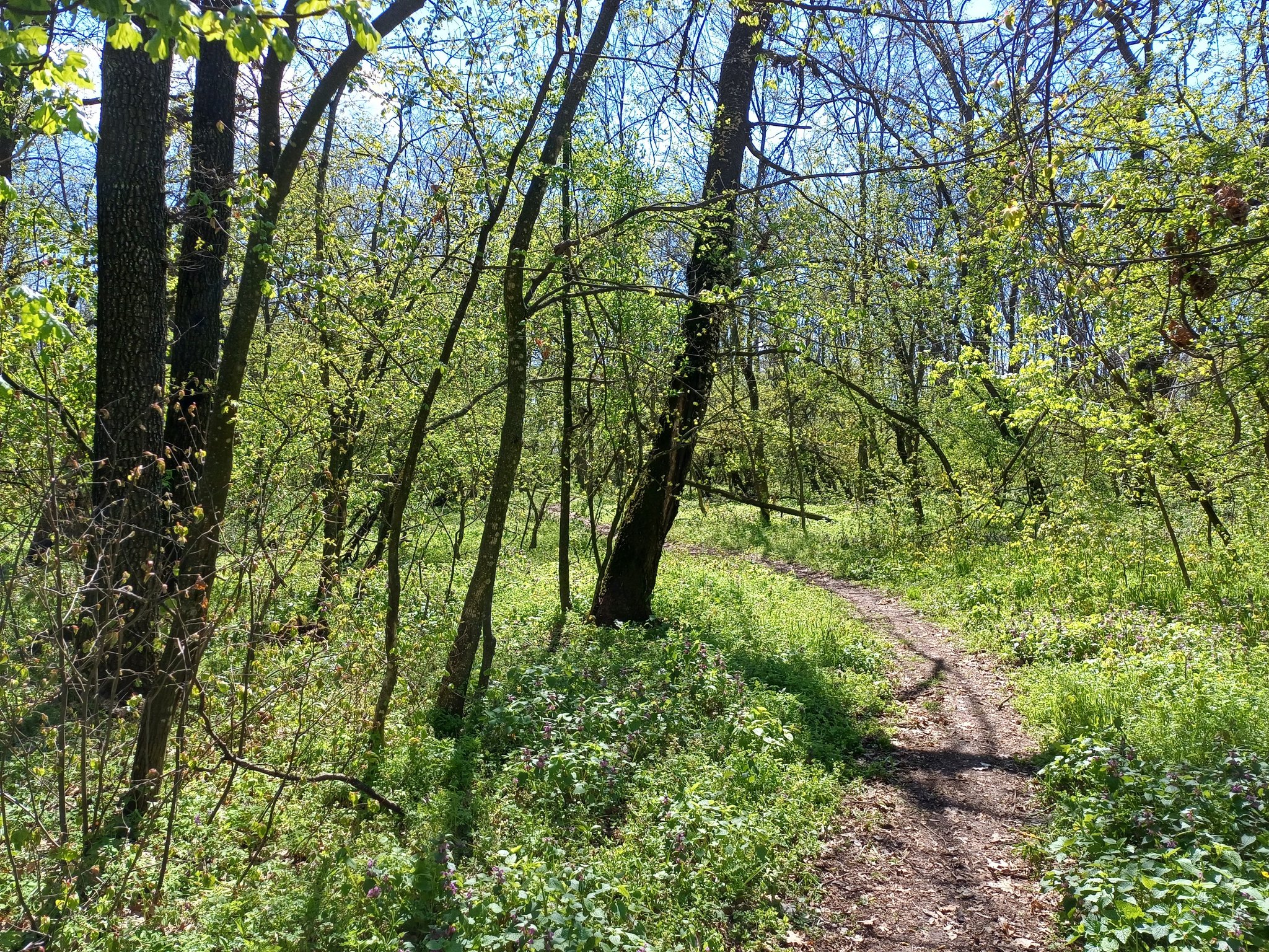 Să marcăm împreună Ziua Pământului!
