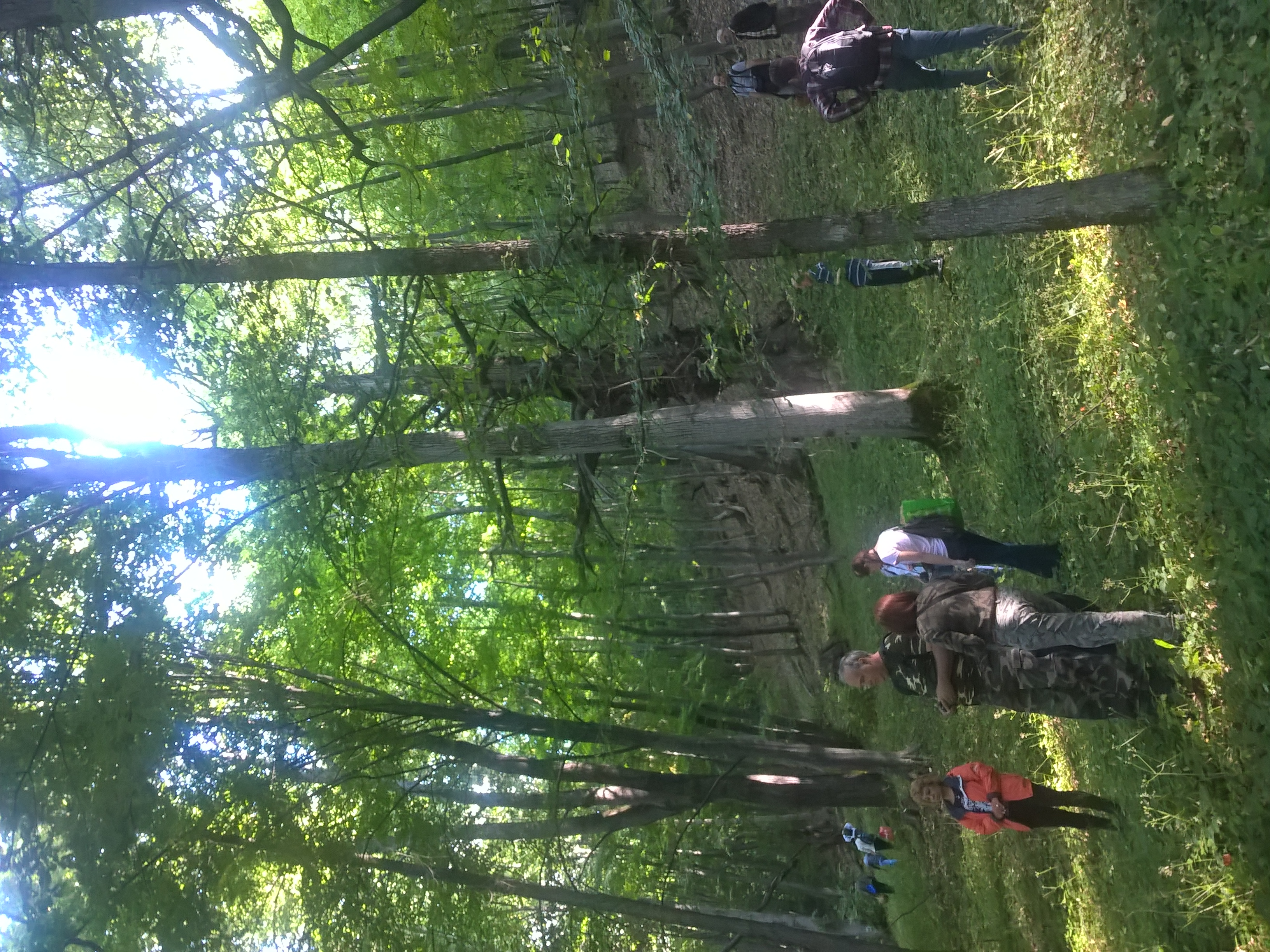 Tabăra micologică, Ediția a II-a, 18-21 august 2016, Rânca - Județul Gorj