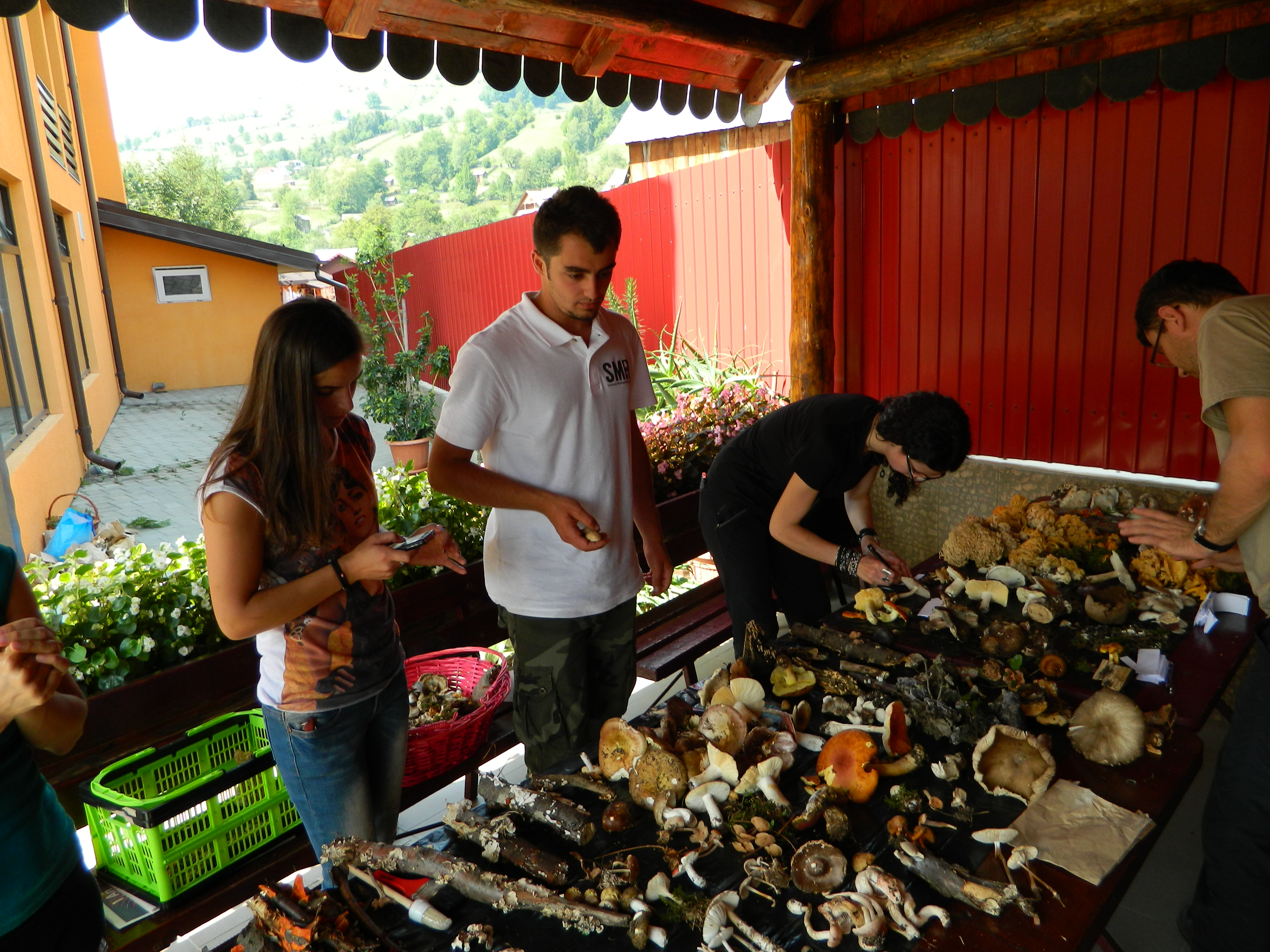 Tabăra micologică, Ediția I, 27-30 august 2015, Fărcașa, Județul Neamț