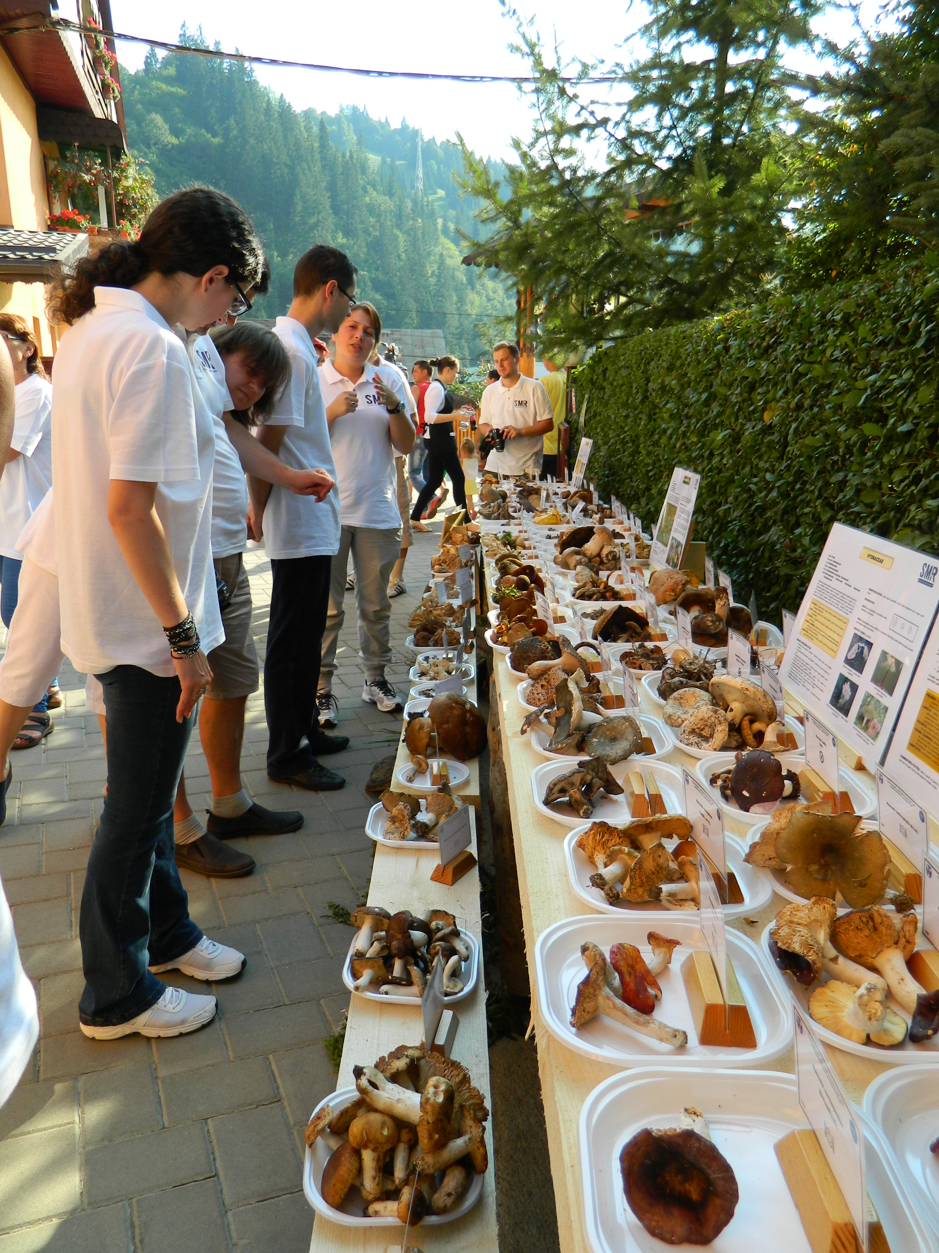 Tabăra micologică, Ediția I, 27-30 august 2015, Fărcașa, Județul Neamț