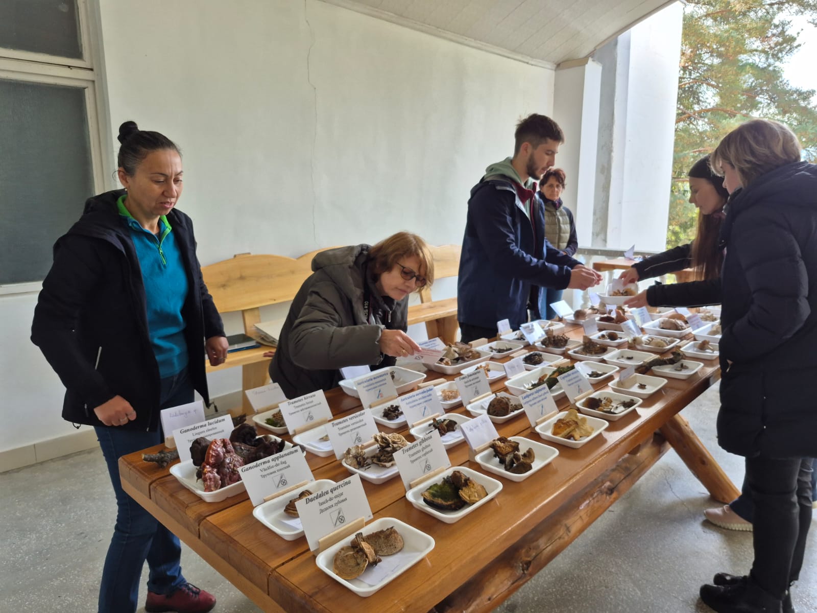 Tabăra Micologică SMR - MicoMonitor, Ediția a IV-a, 3-5 octombrie 2025, Rezervația Codrii - Republica Moldova