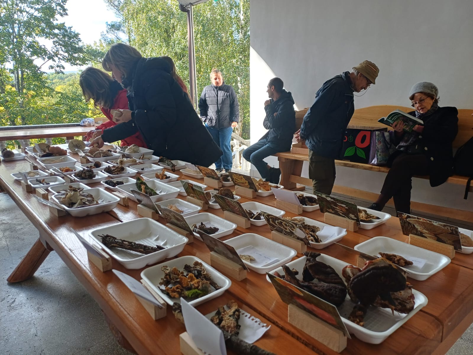 Tabăra Micologică SMR - MicoMonitor, Ediția a IV-a, 3-5 octombrie 2025, Rezervația Codrii - Republica Moldova