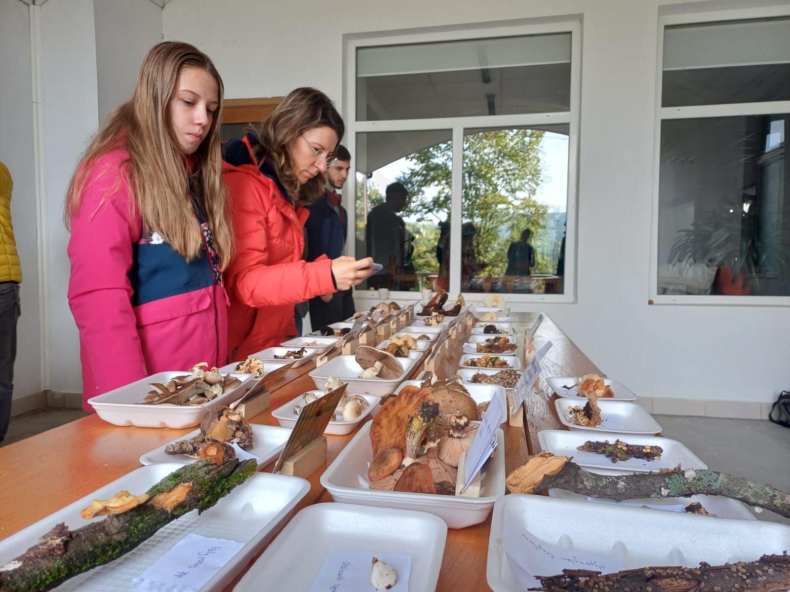 Tabăra Micologică SMR - MicoMonitor, Ediția a IV-a, 3-5 octombrie 2025, Rezervația Codrii - Republica Moldova